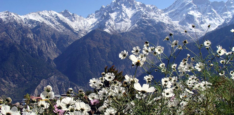 Kinnor Spiti with Manali Kinnor Spiti with Manali